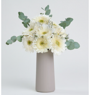 Bej Çizgili Polimer Vazoda Beyaz Gerbera Çiçekleri